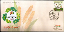 India 2023 International Year Of Millets Agriculture Food 1v FDC - Agriculture