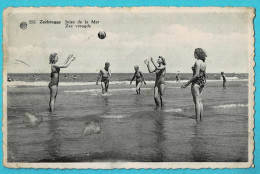 * Zeebrugge (Kust - Littoral) * (Albert, Nr 550 - Uitgave Boekhandel Aimé Verstraete) Joies De La Mer, Bikini, Beach - Zeebrugge