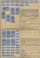 131  SOCIO-POSTAUX D'ALSACE LORRAINE1905 SUR 2 CARTES 12Ex 13 Semaines N°10 2F60 Bleu - Other & Unclassified