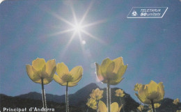 ANDORRA. AD-STA-0112. FLOWER. 2000-02. 15000 Ex. (021). - Andorra