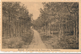 BOUWEL  WANDELINGEN DOOR DE DENNEN NABIJ DE LINDEKENS     2 SCANS - Grobbendonk