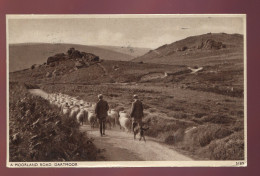 CPA Royaume Uni A Moorland Road DARTMOOR Moutons - Dartmoor