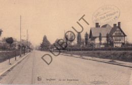 Postkaart/Carte Postale - Izegem - Van Den Bogaerdelaan (C4160) - Izegem
