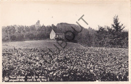 Postkaart/Carte Postale - Mont-Kemmel - Vue Sur Le Mont (C4209) - Heuvelland