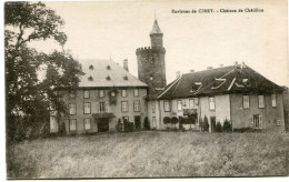 ENVIRONS De CIREY - CHÂTEAU De CHÂTILLON - - Cirey Sur Vezouze