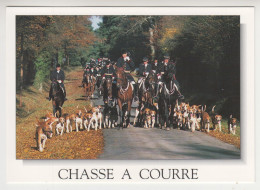 JJ 276 /  CHASSE A COURRE / - Chasse