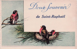 Saint Raphael - Une Pensee -  Oiseau - Rouge Gorge - CPA °J - Saint-Raphaël