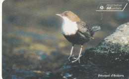 ANDORRA. AD-STA-0103. AVE - BIRD. Dipper. 1999-04. 20000 Ex. (111) - Andorra