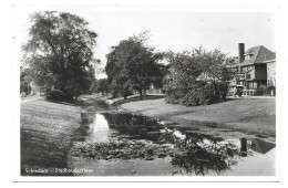 SCHIEDAM  --  STADHOUDERSLAAN  1954 - Schiedam