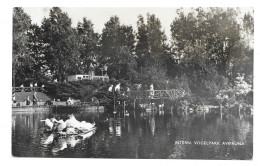 ALPHEN A/d RIJN - AVIFAUNA   1959 - Alphen A/d Rijn