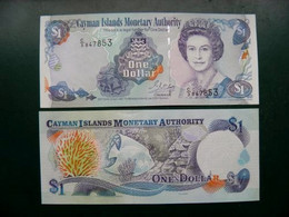 Unc Banknote Cayman Islands 2001 P-26b Prefix C/3 $1 Dollar Animal Fish Poisson Shell Coral - Kaaimaneilanden