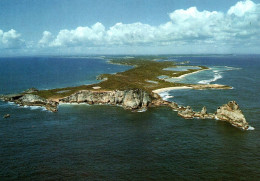 17202  Vue Aérienne De La Pointe Des Châteaux     Guadeloupe  (2 Scans) - Saint Barthelemy