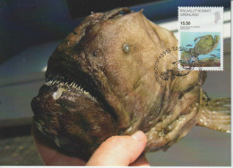 Greenland Maximum Card Mi 543 Science - Atlantic Footballfish (Himantolophus Groenlandicus) 2009 - Cartas Máxima