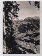 A 6991 MITTELBERG / Kleinwalsertal, Mittelberger Höhe - Kleinwalsertal