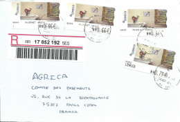 Vignette D'affranchissement Epelsa - ATM - Peinture - Tableau - Fleur - Pétunia - Lettre Recommandée Pour La France - Briefe U. Dokumente
