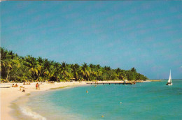 GUADELOUPE . PLAGE DE LA CARAVELLE - Autres & Non Classés