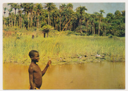 Guine Bissau - Portuguese Guinea - Guinee Portugaise  Paisagem, Black Boy - Garçon Menino - Guinea Bissau