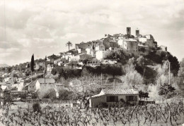 06 - BIOT - S18275 - Vieux Village Provençal - Vigne - CPSM 15x10cm - Biot