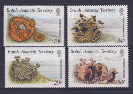 British Antarctic Territory: 1989   Lichens    MH  - Ongebruikt