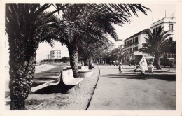 MAROC - Tanger - Avenue D'Espagne - Carte Postale Ancienne - Tanger