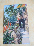 Monaco  /Les Jardins Exotiques /Lemaitre Editeur ,  Nice/ Vers 1910-1920    CPDIV399 - Jardín Exótico
