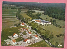 EP358  CP   MONTHUREUX-sur-SAONE  (Vosges)  Vue Aérienne -  Le Mont De Savillon  +++++ - Monthureux Sur Saone