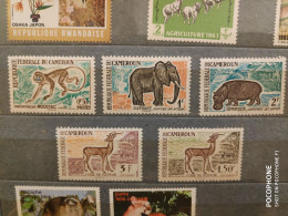 1962 Cameroon Animals (F12) - Cameroun (1960-...)