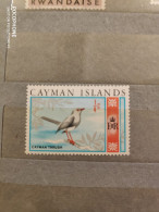 Cayman Islands Birds (F12) - Cayman Islands
