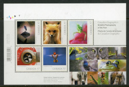 Canada 2010 "Wildlife Photography" Souvenir Sheet - Covers & Documents