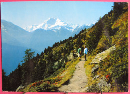 Visuel Très Peu Courant - Suisse - Valais - Casselweg Am Riederhorn Bei Riederalp Am Aletschgletscher - Riederalp