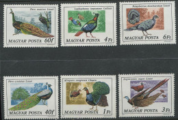 Hungary:Unused Stamps Serie Birds, Pheasants, 1977, MNH - Gallinacées & Faisans