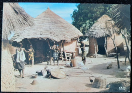 AFRIQUE  EN COULEURS - Scène Villageoise - PHOTO HOA-QUI - N°5516 - Non Classés