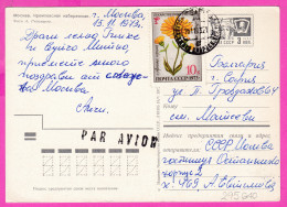 295640 / Russia 1973 - 10+3 K.(Komsomol) Moscow - Kremlin Embankment, Arnica Montana Herbal Medicine  Stationery PC Card - Heilpflanzen