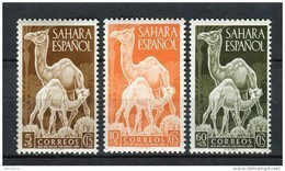 Sahara 1951. Edifil 91-93 X 2 ** MNH. - Sahara Español