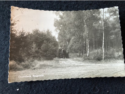 #0698 Oosterbeek Bosgezicht Paardenkar Met Hout - Oosterbeek