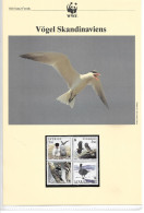 1135g: Schweden 1994, WWF- Ausgabe Vögel Skandinaviens, Serie **/ FDC/ Maximumkarten, Jeweils In Schutzhüllen - Seagulls