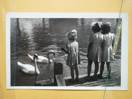 Kov 9-89 - Children, Enfant, Swan - Groupes D'enfants & Familles