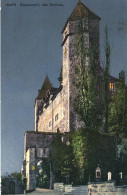 458 Rapperswil, Das Schloss. 14499 Wehrli A.G. - Rapperswil-Jona