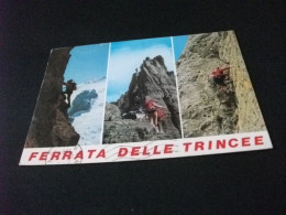 ALPINISTI IN ARRAMPICATA FERRATA DELLE TRINCEE  GRUPPO PADON DOLOMITI - Climbing