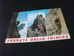 ALPINISTI IN ARRAMPICATA FERRATA DELLE TRINCEE  GRUPPO PADON DOLOMITI - Bergsteigen