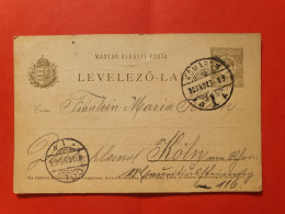 Hongrie - Entier Postal De Komárom Pour L'Allemagne En 1903, Voir Dessin De Fleurs Au Dos - Réf J 121 - Postwaardestukken