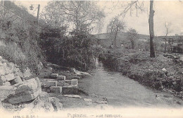 BELGIQUE - Pepinster - Vue Rustique - Carte Postale Ancienne - Pepinster