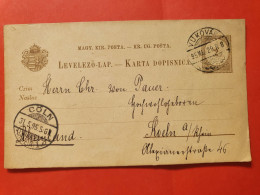 Hongrie - Entier Postal De Vukovar Pour L'Allemagne En 1895 - Réf J 122 - Postwaardestukken