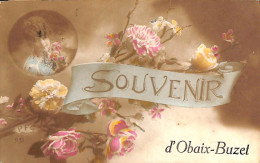 Souvenir D'Obaix-Buzet (fleurs Femme Vers Nivelles) - Pont-a-Celles
