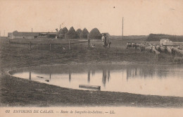 Sangatte (62 - Pas De Calais) Route De Sangatte Les Salines - Berger Et Moutons - Sangatte