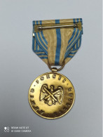 MEDAILLE USA ARMED FORCES RESERVE, VARIANTE AIGLE FAISCEAU - Verenigde Staten