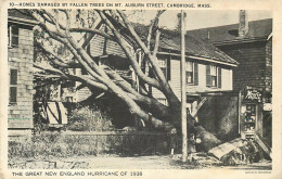 USA - Massachusetts - Cambridge - Great Hurricane 1938 - Autres & Non Classés