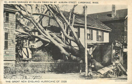USA - Massachusetts - Cambridge - Great Hurricane 1938 - Sonstige & Ohne Zuordnung