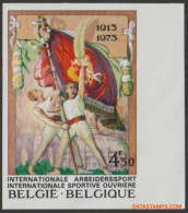 België 1973 - Mi:1726, Yv:1666, OBP:1674, Stamp - □ - Arbeidersport  - 1961-1980