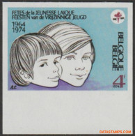 België 1974 - Mi:1768, Yv:1709, OBP:1717, Stamp - □ - Feest Vrijzinnige Jeugd  - 1961-1980